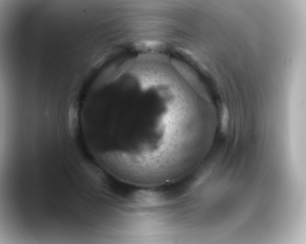 X0000088470699200706051342