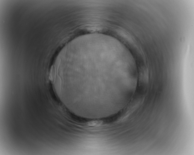 X0000088470700200706051342