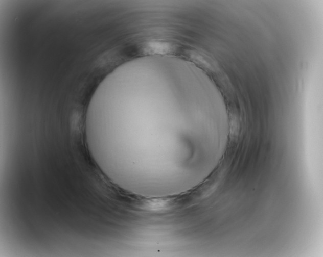 X0000088470701200706051342