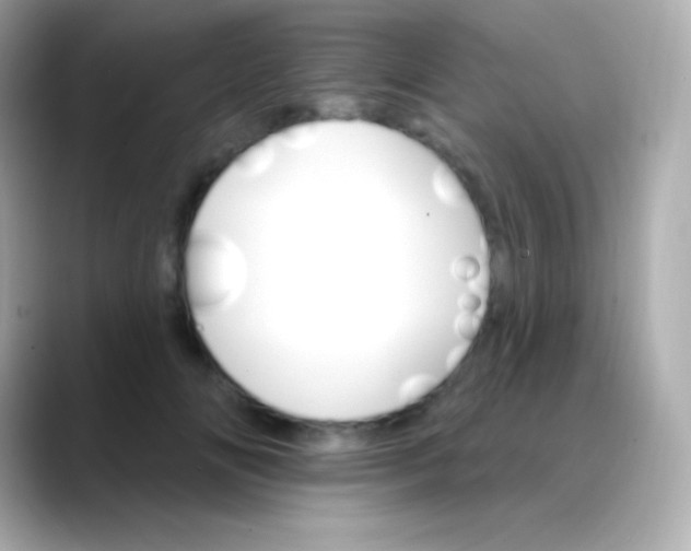 X0000088470702200706051342