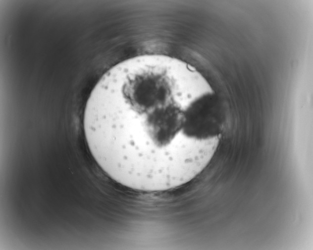 X0000088470703200706051342