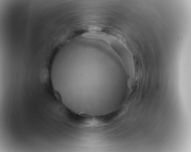 X0000088470704200706051342