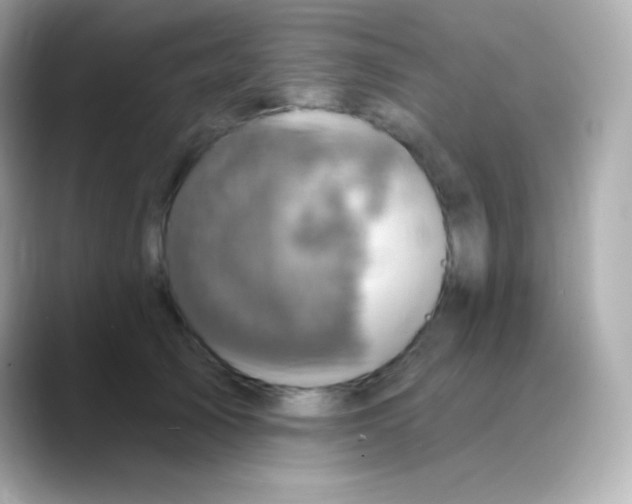 X0000088470705200706051342