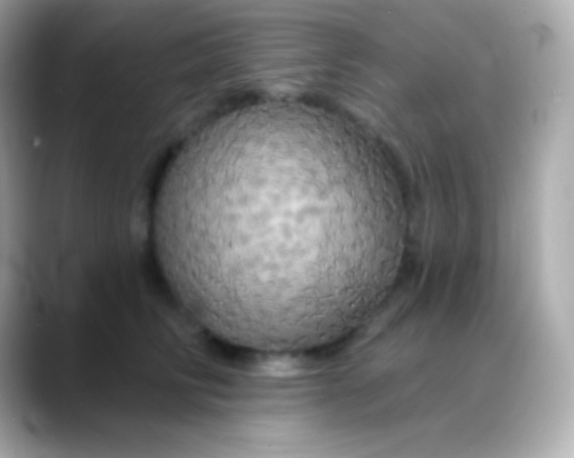 X0000088470710200706051342