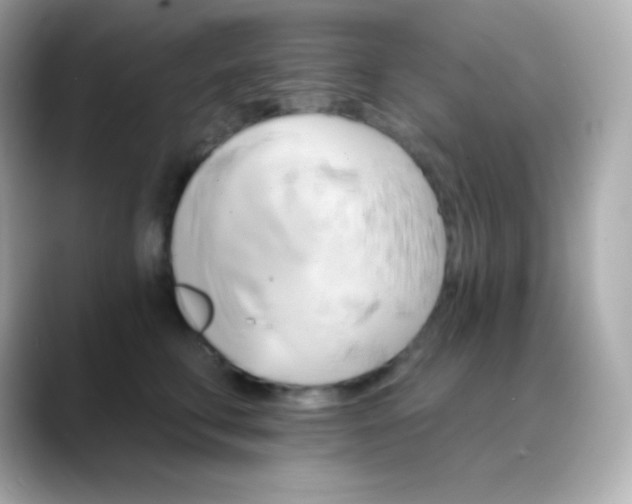 X0000088470711200706051342