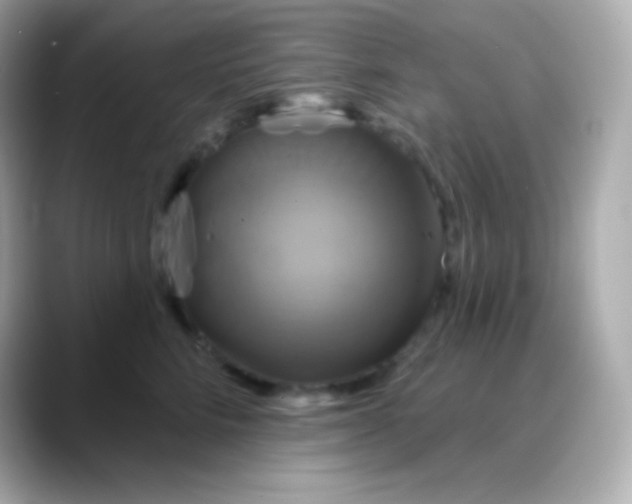 X0000088470712200706051342