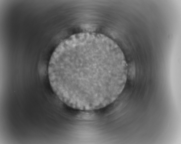 X0000088470713200706051342