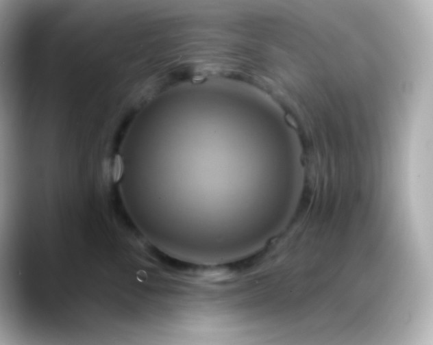 X0000088470716200706051342