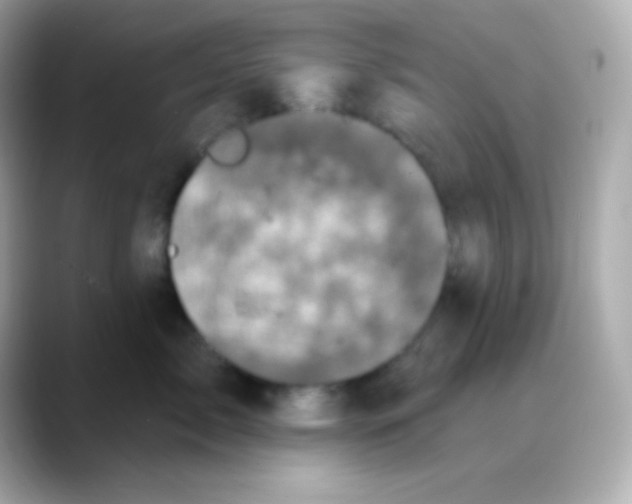 X0000088470717200706051342