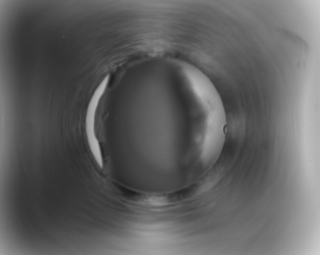 X0000088470719200706051342