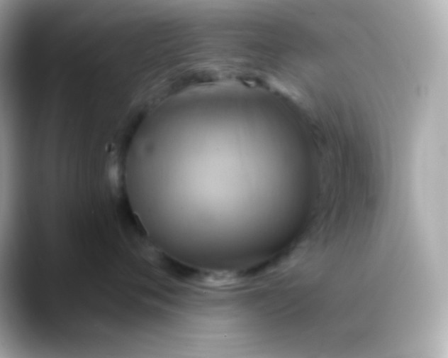 X0000088470720200706051342