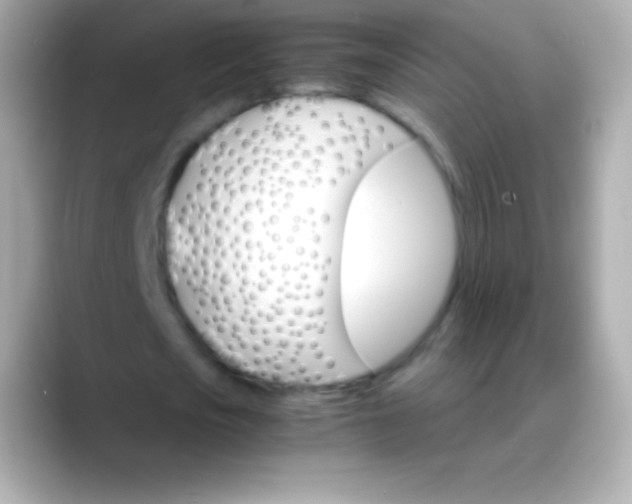 X0000088470721200706051342