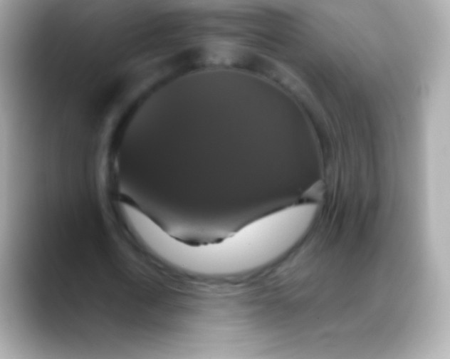 X0000088470722200706051342