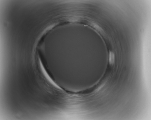 X0000088470723200706051342