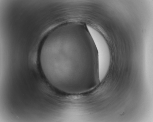 X0000088470724200706051342