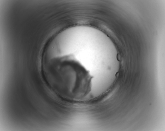 X0000088470725200706051342