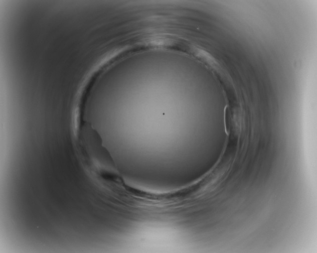 X0000088470726200706051342