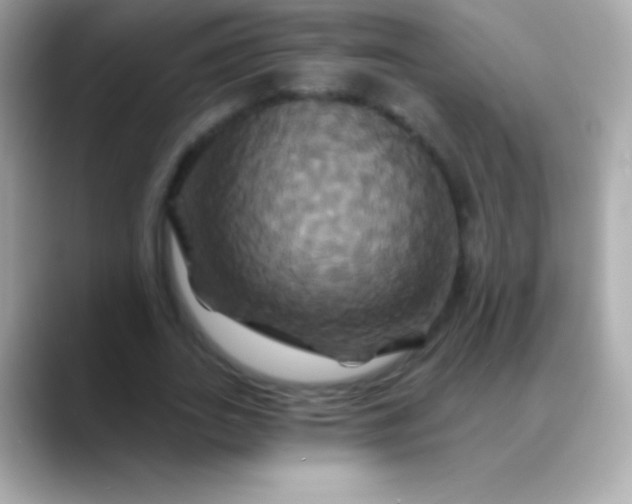 X0000088470727200706051342