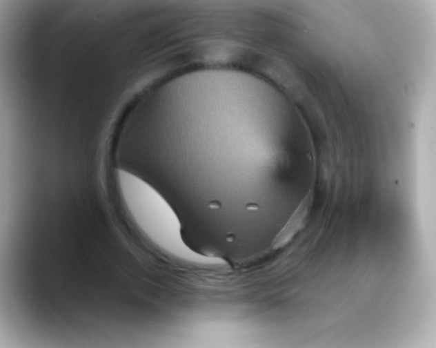 X0000088470728200706051342