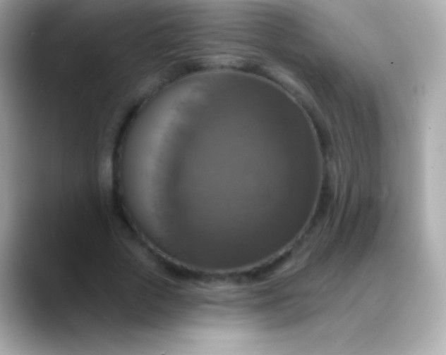 X0000088470729200706051342