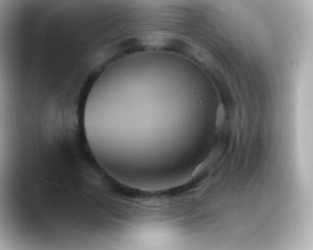 X0000088470731200706051342