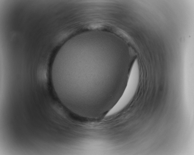 X0000088470732200706051342