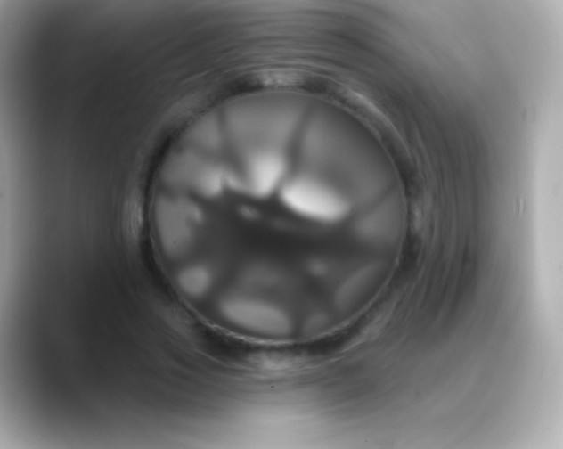 X0000088470733200706051342