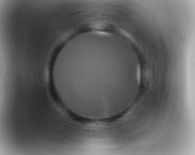 X0000088470734200706051342