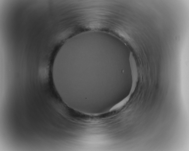 X0000088470735200706051342