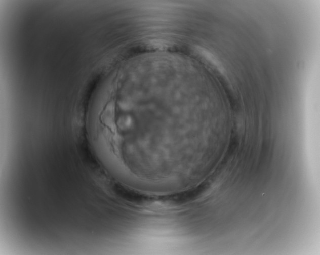 X0000088470737200706051342