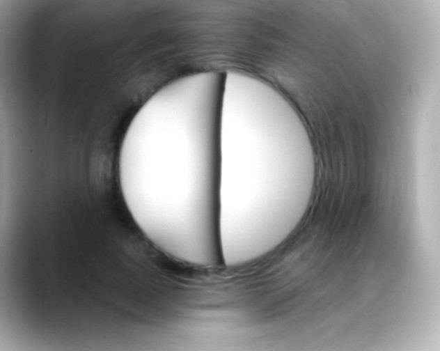 X0000088470739200706051342