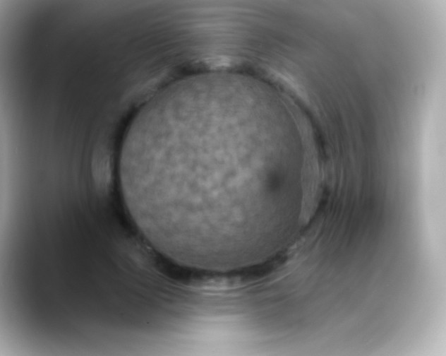 X0000088470740200706051342