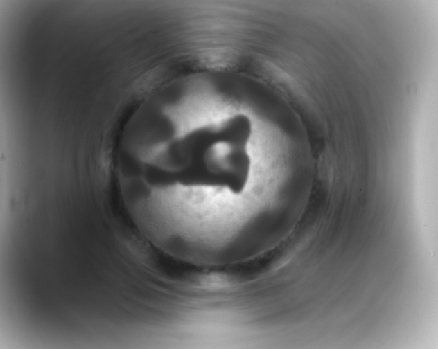 X0000088470741200706051342