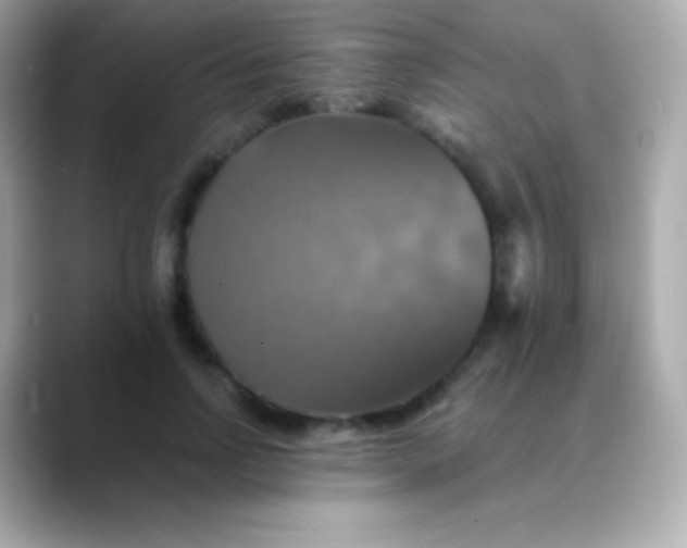 X0000088470742200706051342