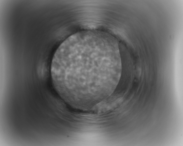 X0000088470743200706051342