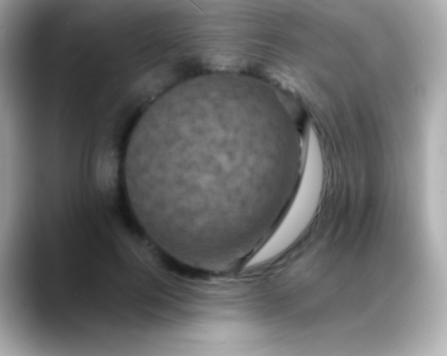 X0000088470744200706051342