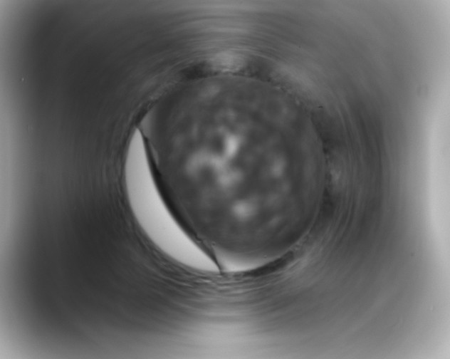 X0000088470745200706051342