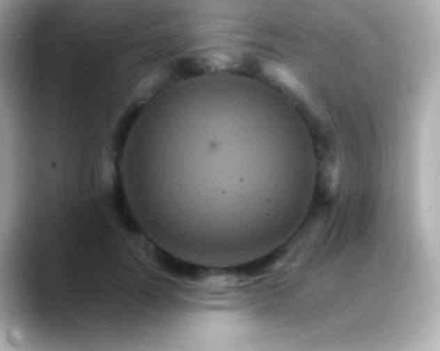 X0000088470746200706051342