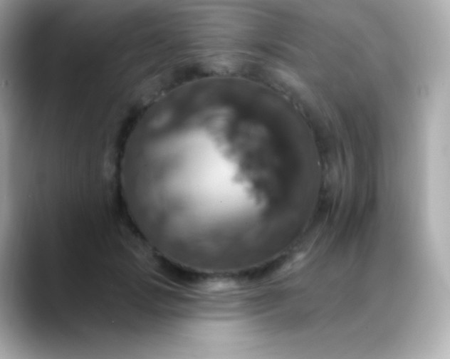 X0000088470749200706051342