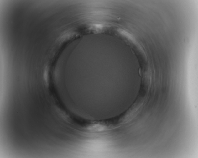 X0000088470750200706051342