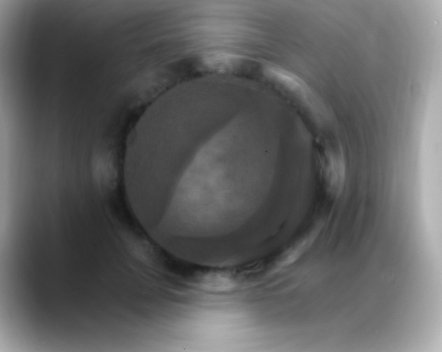 X0000088470751200706051342