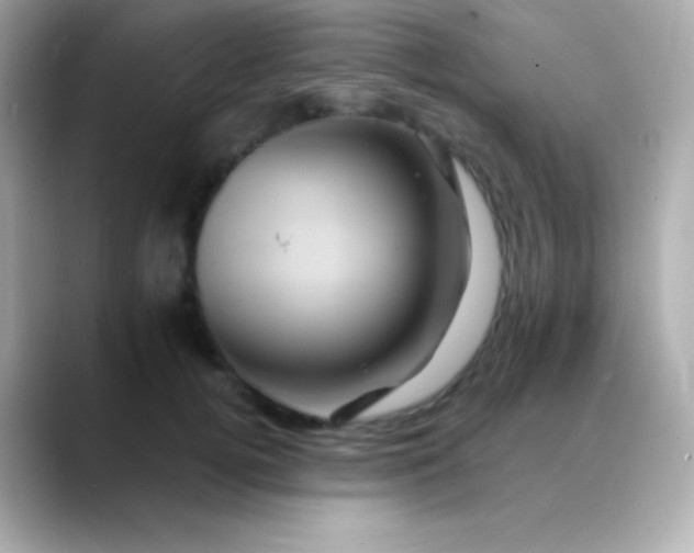 X0000088470752200706051342