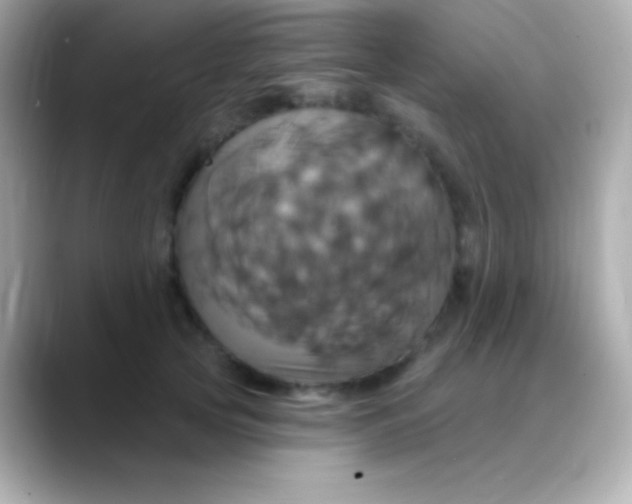 X0000088470753200706051342