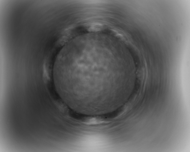 X0000088470755200706051342