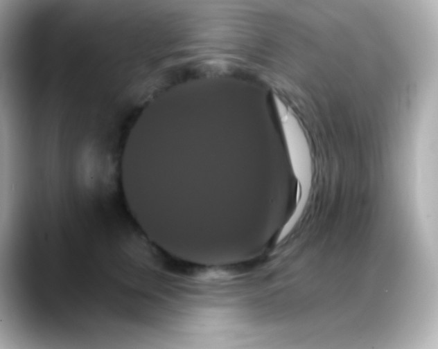 X0000088470759200706051342