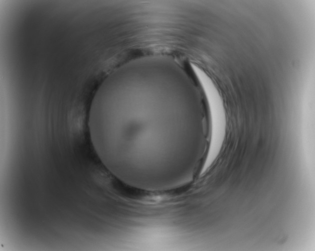 X0000088470760200706051342