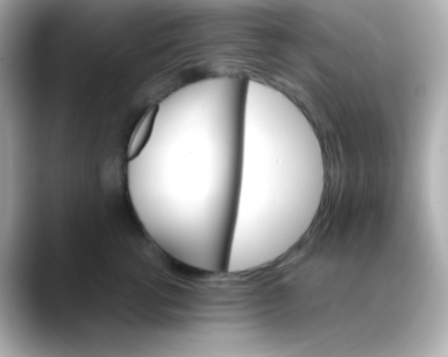 X0000088470762200706051342