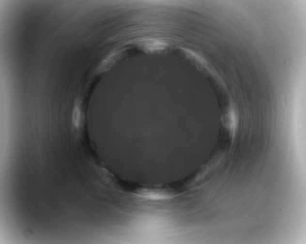 X0000088470763200706051342