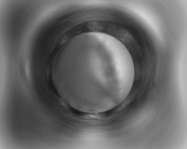 X0000088470765200706051342