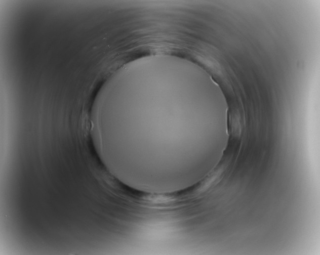 X0000088470766200706051342